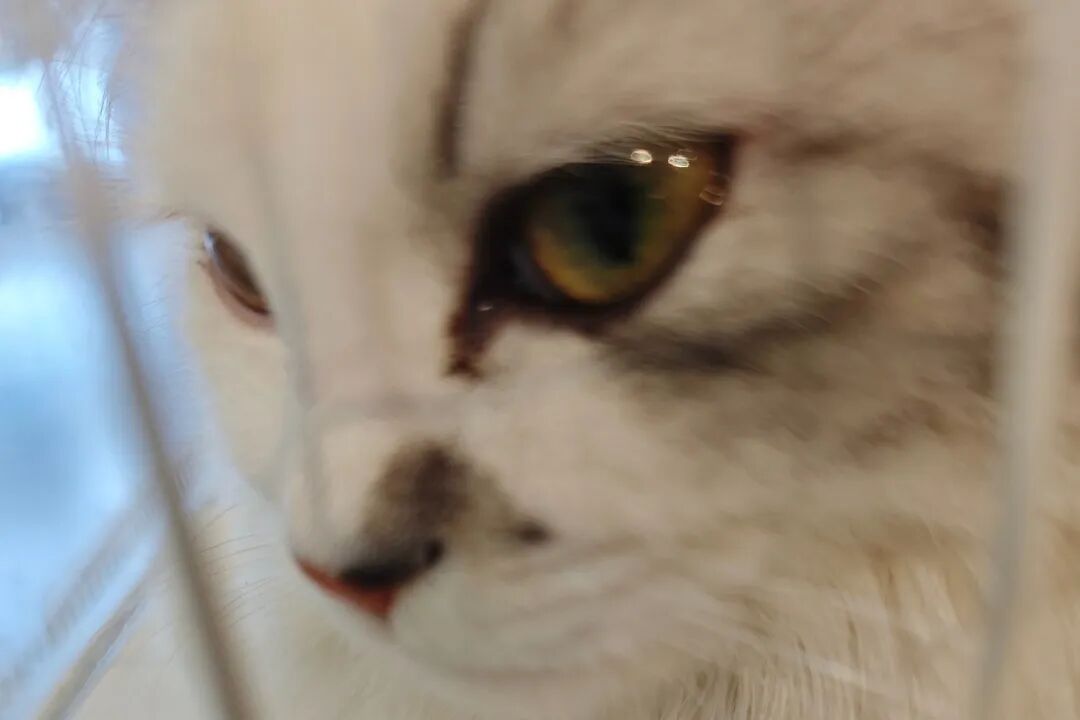 A6DD